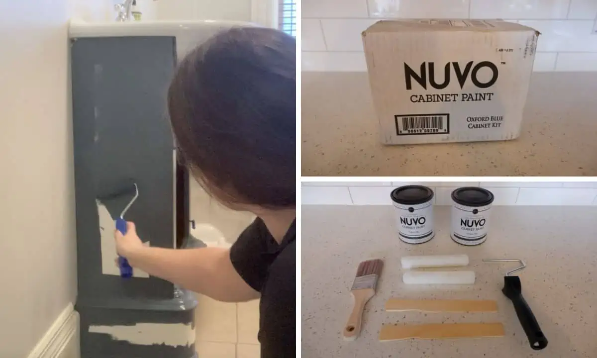 Nuvo Paint Review & Guide Curated